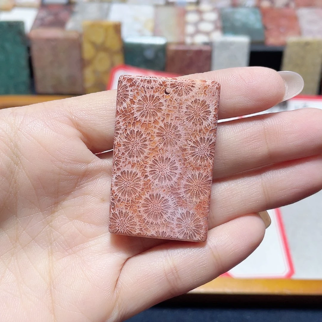 上***岸硅化珊瑚（珊瑚玉）合金颈饰