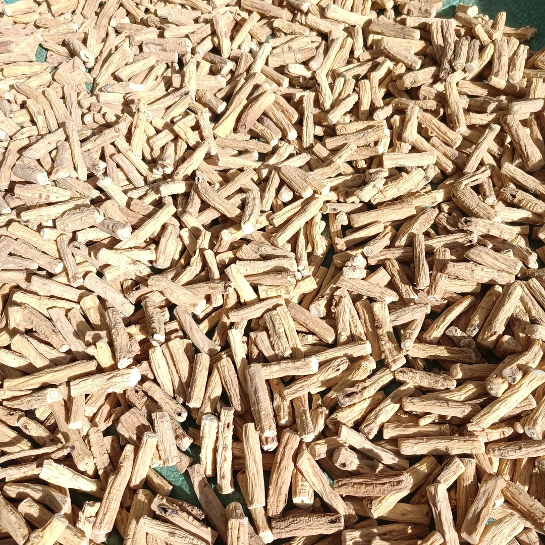 甘肃岷县党参段2025新货大货1.0直径无硫滋补养生煲汤干嚼泡水