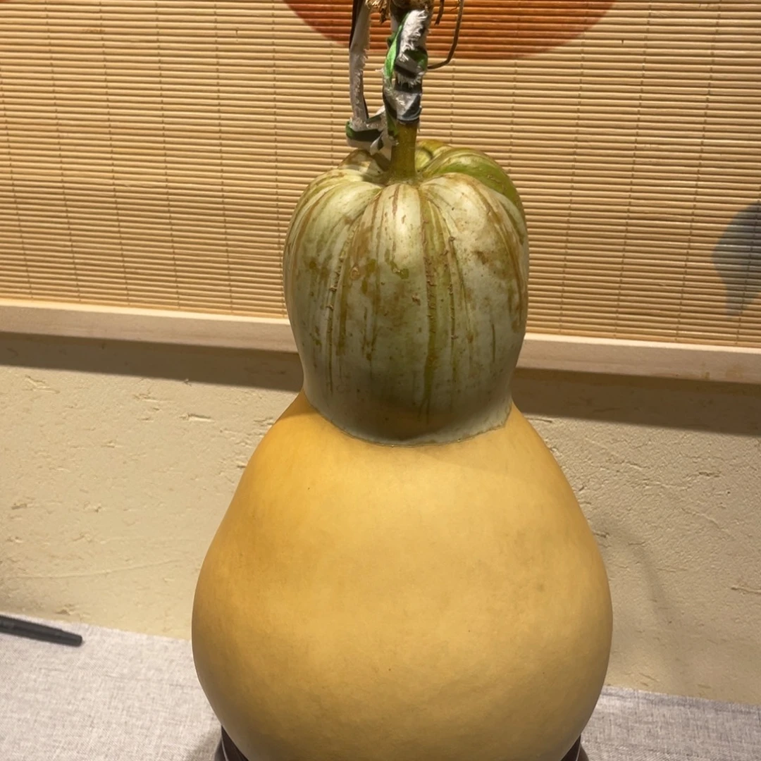王***峰仿木不包邮不保龙头