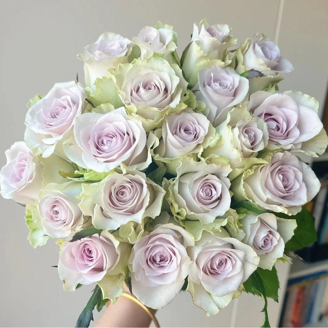 【FL海洋之谜玫瑰】云南直发玫瑰鲜花两单京东冷链包邮LT