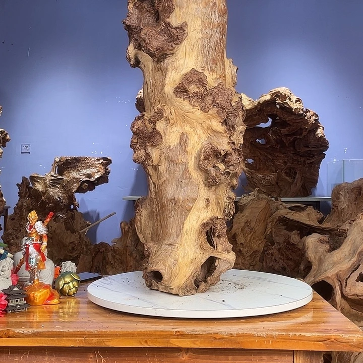 李***乱香榧木123445566778889