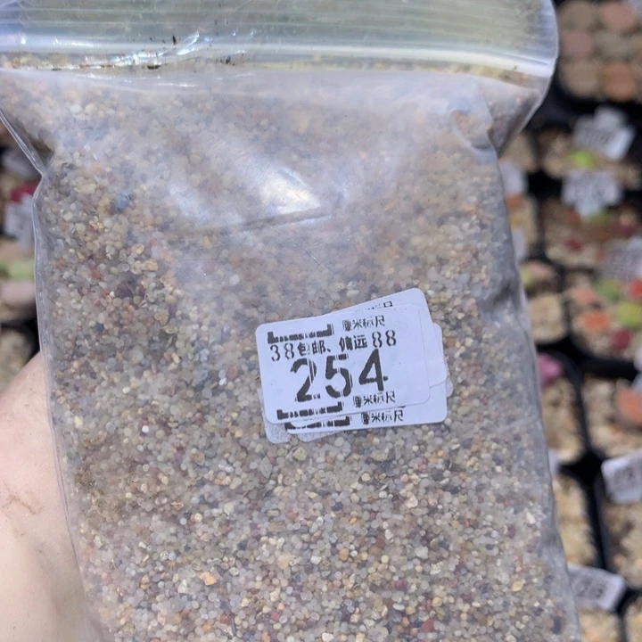 zzzzz可可爱爱254细砂
