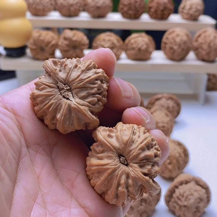 白狮子全品38.5/35/31