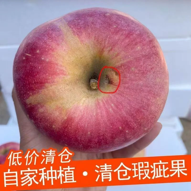 新疆阿克苏冰糖心苹果高次果纯甜无酸不影响口感有瑕疵介意勿拍