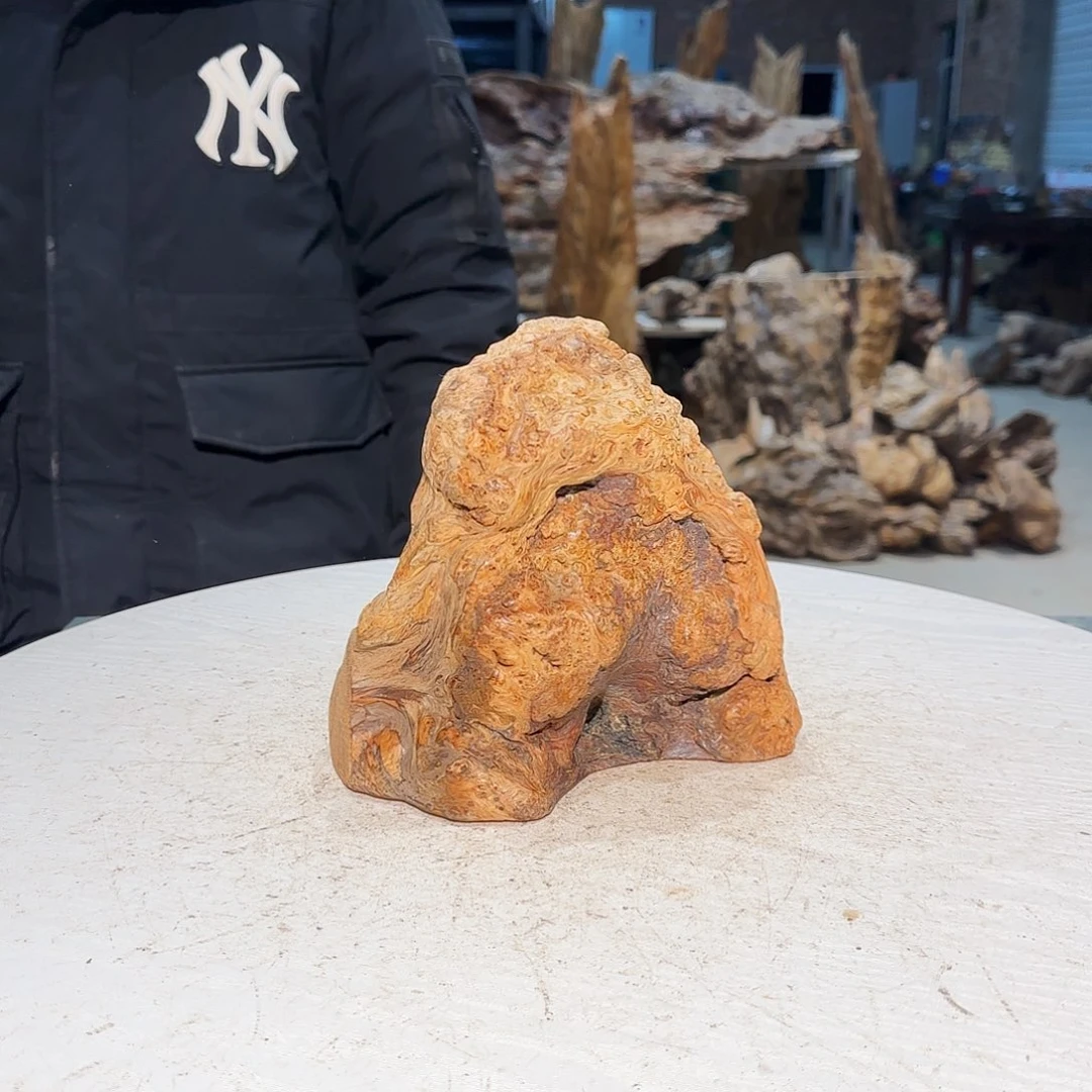 匠***木松木大自然的秘密琥珀木