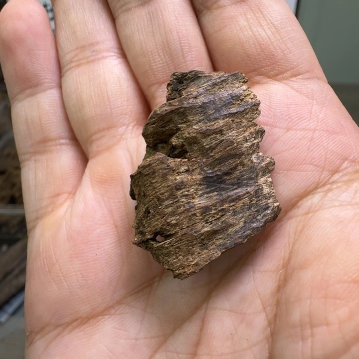 越南都蓬沉水2.3克。