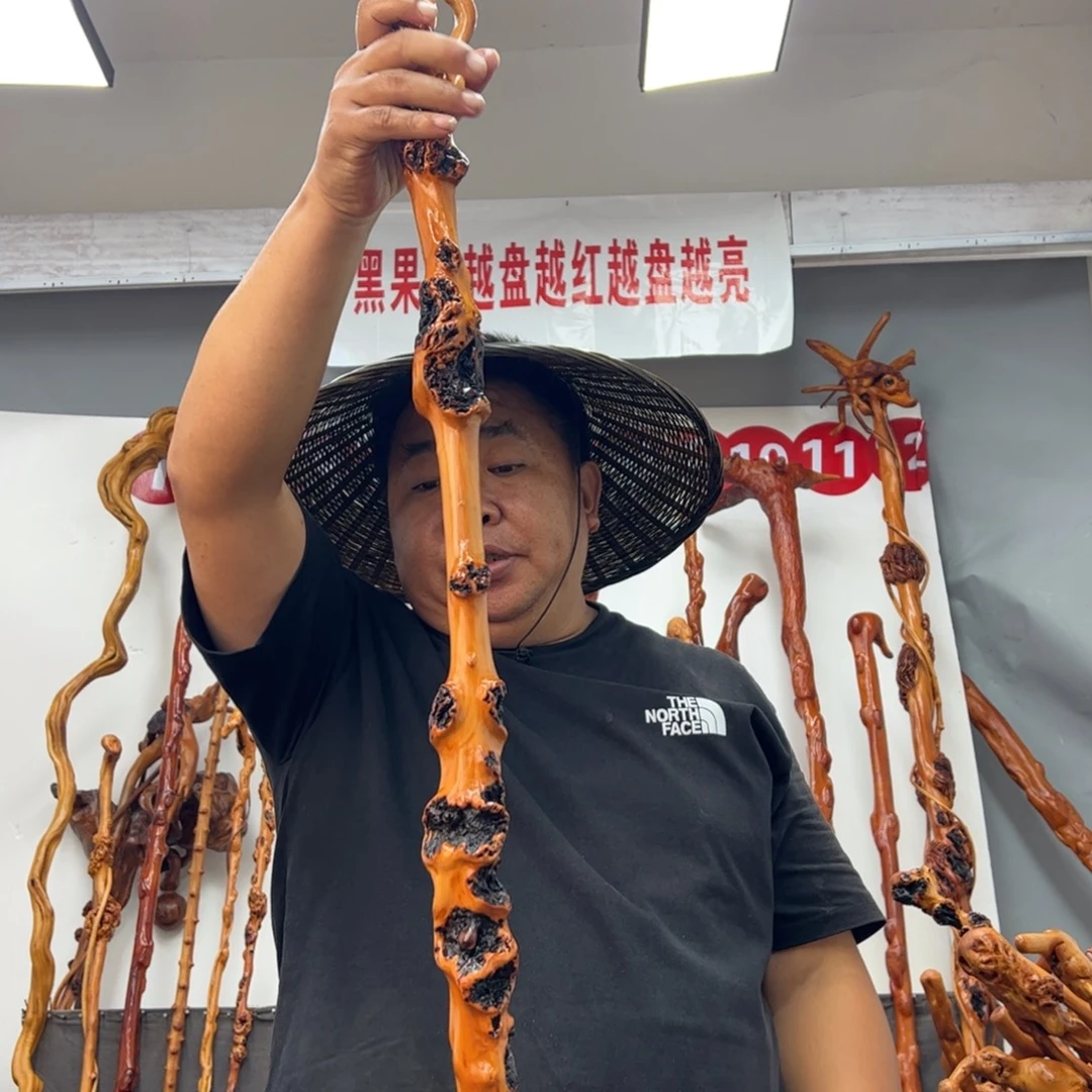 欧***良黑果木其他黑果木121