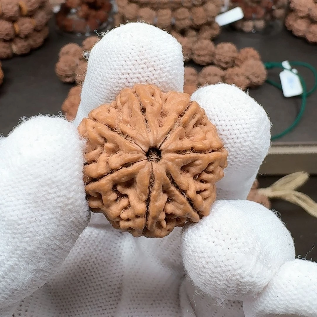 金刚菩提手串28七瓣单颗