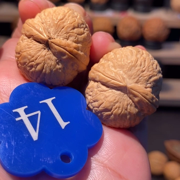 木质类小胖橘31尺寸