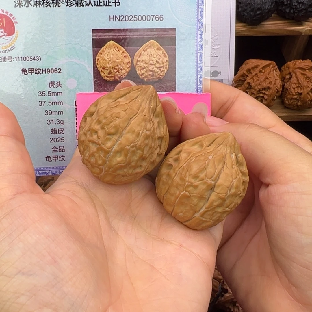 文玩核桃把件35全品龟甲纹H9062