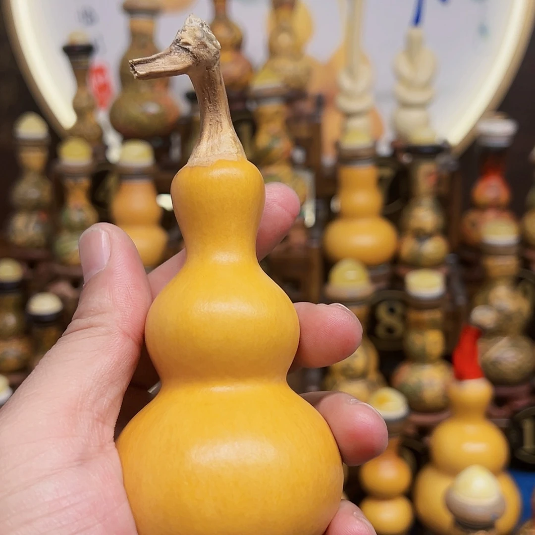 【闪购商品】.***阳今天晚上你来了没有呀今天不知道