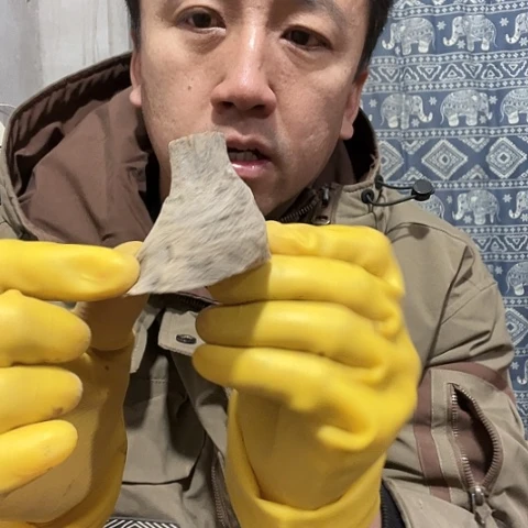 柏木志**写崖柏毛料的