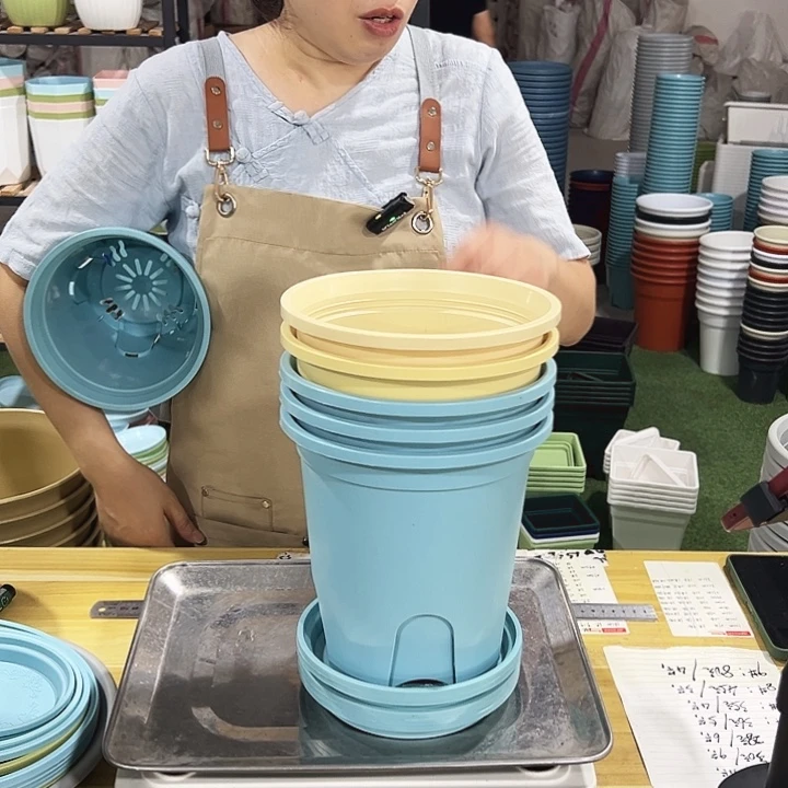 圆控根口18高18混色带托5个