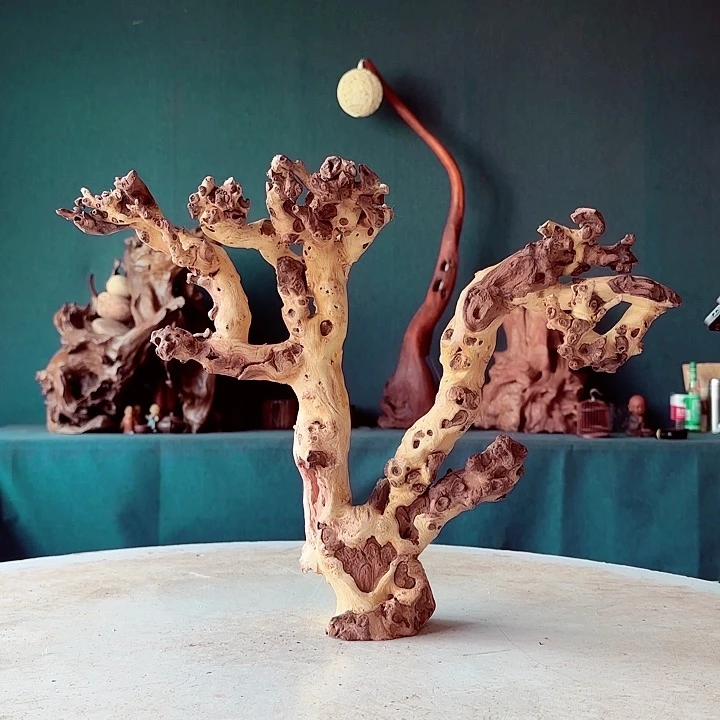 黑果木秦**家063金丝红木羊蹄甲半成品