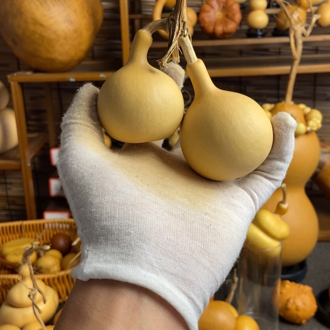 llllllllllllllllll一物一拍053
