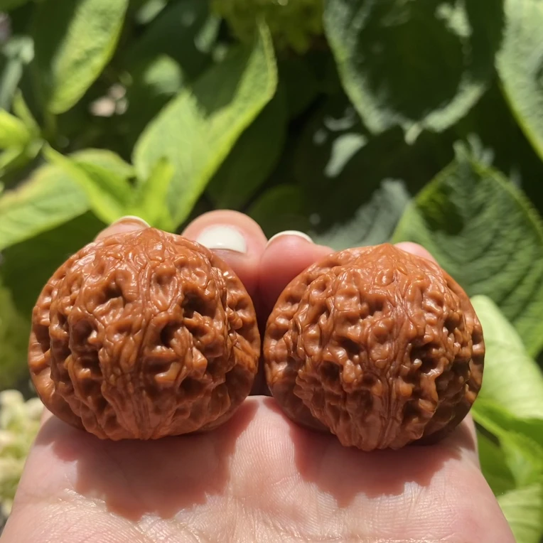 文玩核桃直播间专用链接