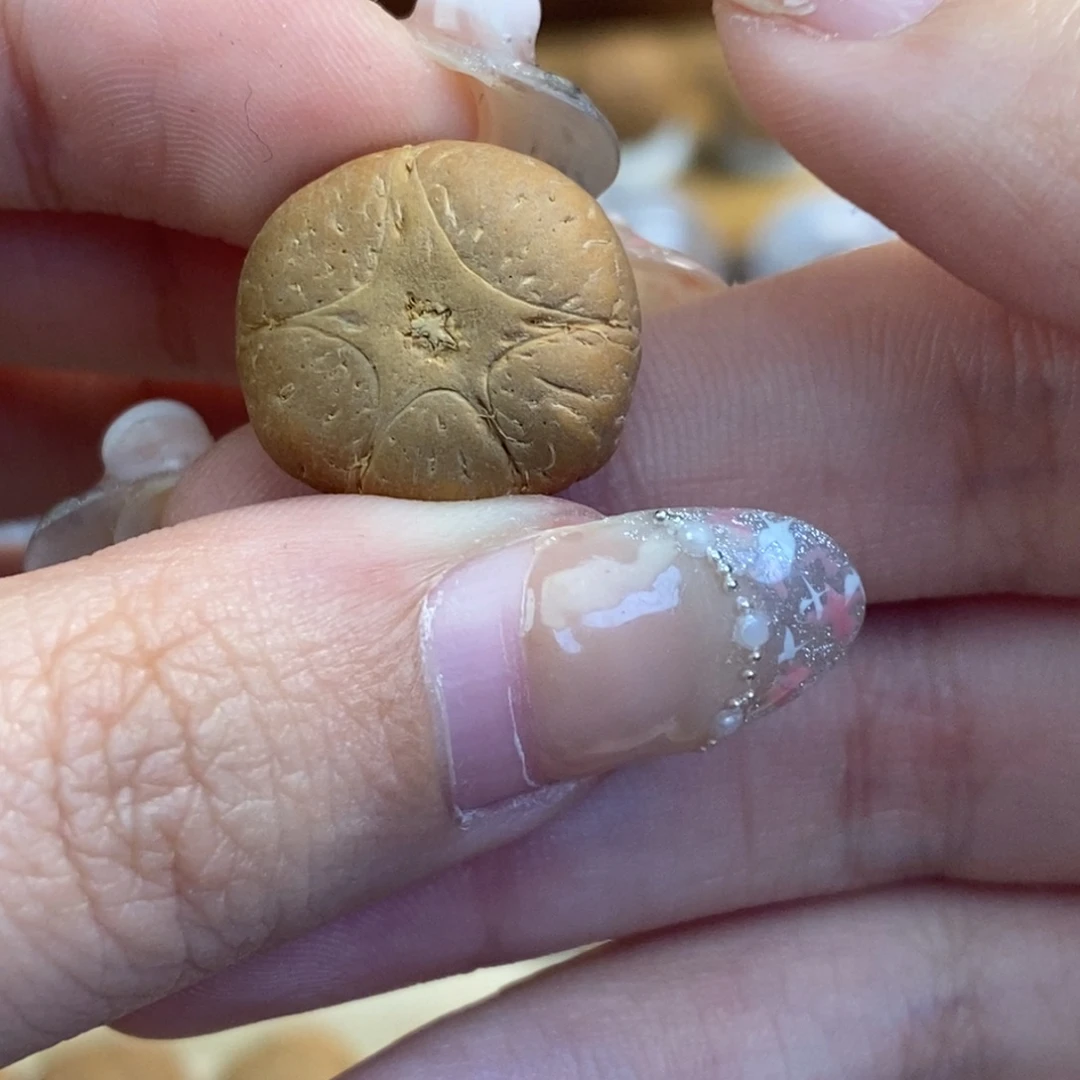 凤眼菩提吊坠五星