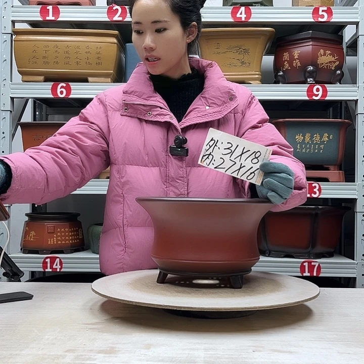 紫砂花盆紫砂花盆