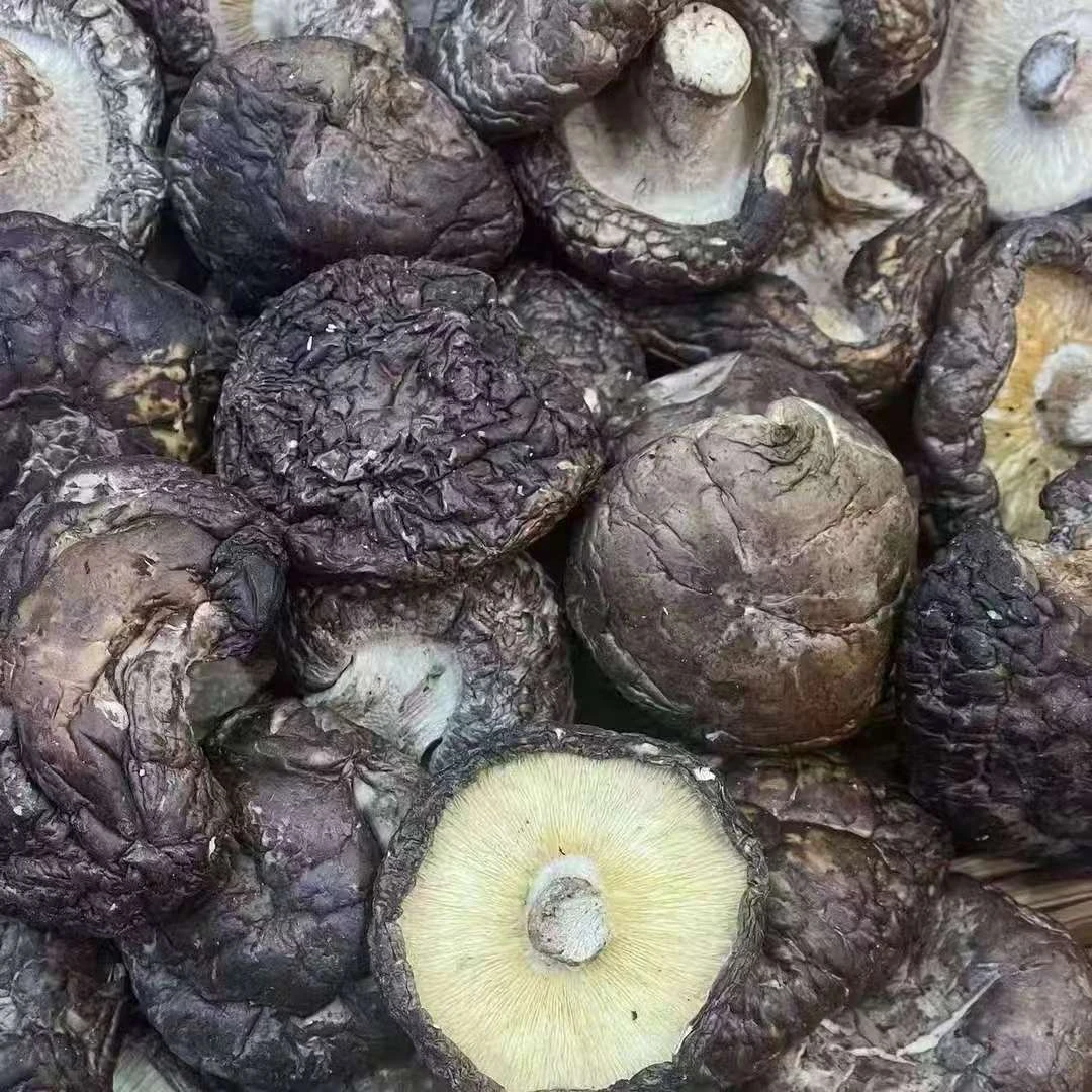 【6周年庆典】肉厚味浓香菇500g