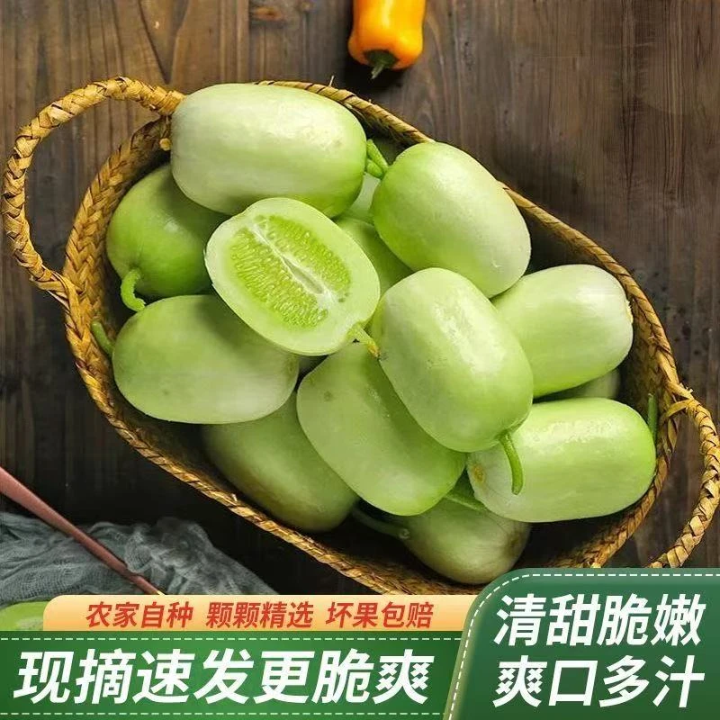 【玉女黄瓜（顺丰）团单】五张牌换一个  减脂新鲜生吃爽口应季！