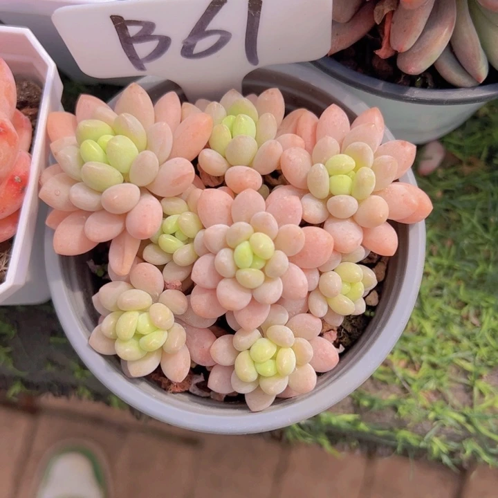 健健康康平平安安