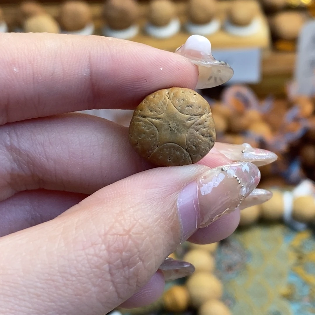 凤眼菩提吊坠五星