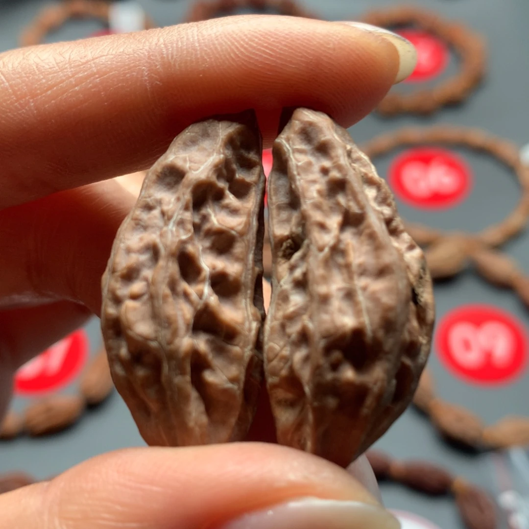 核桃16东北秋子异型