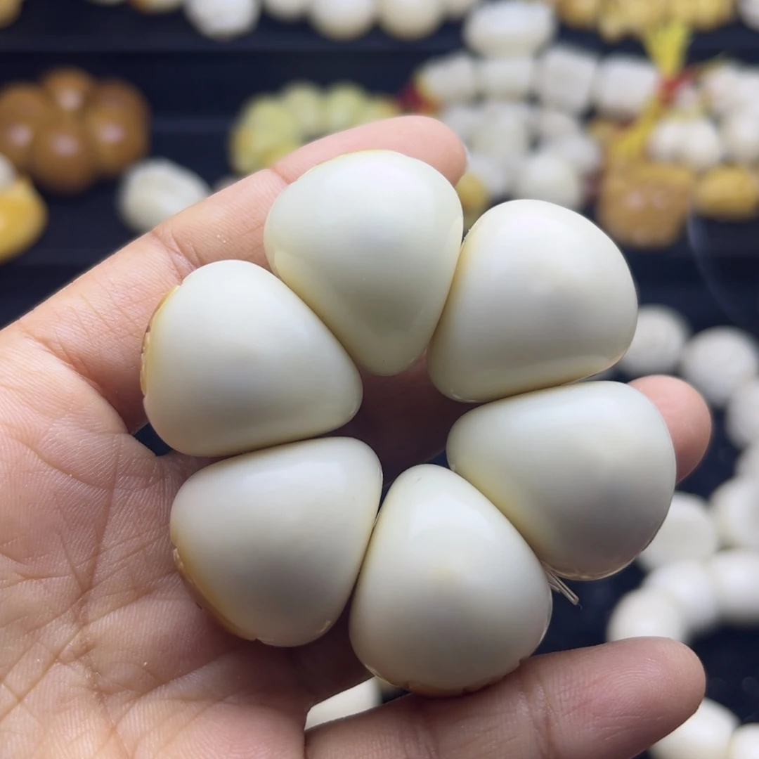 菩提根/象牙果吊坠