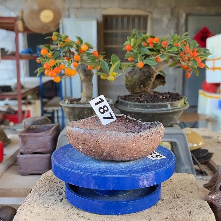 11.5x3///////187/////