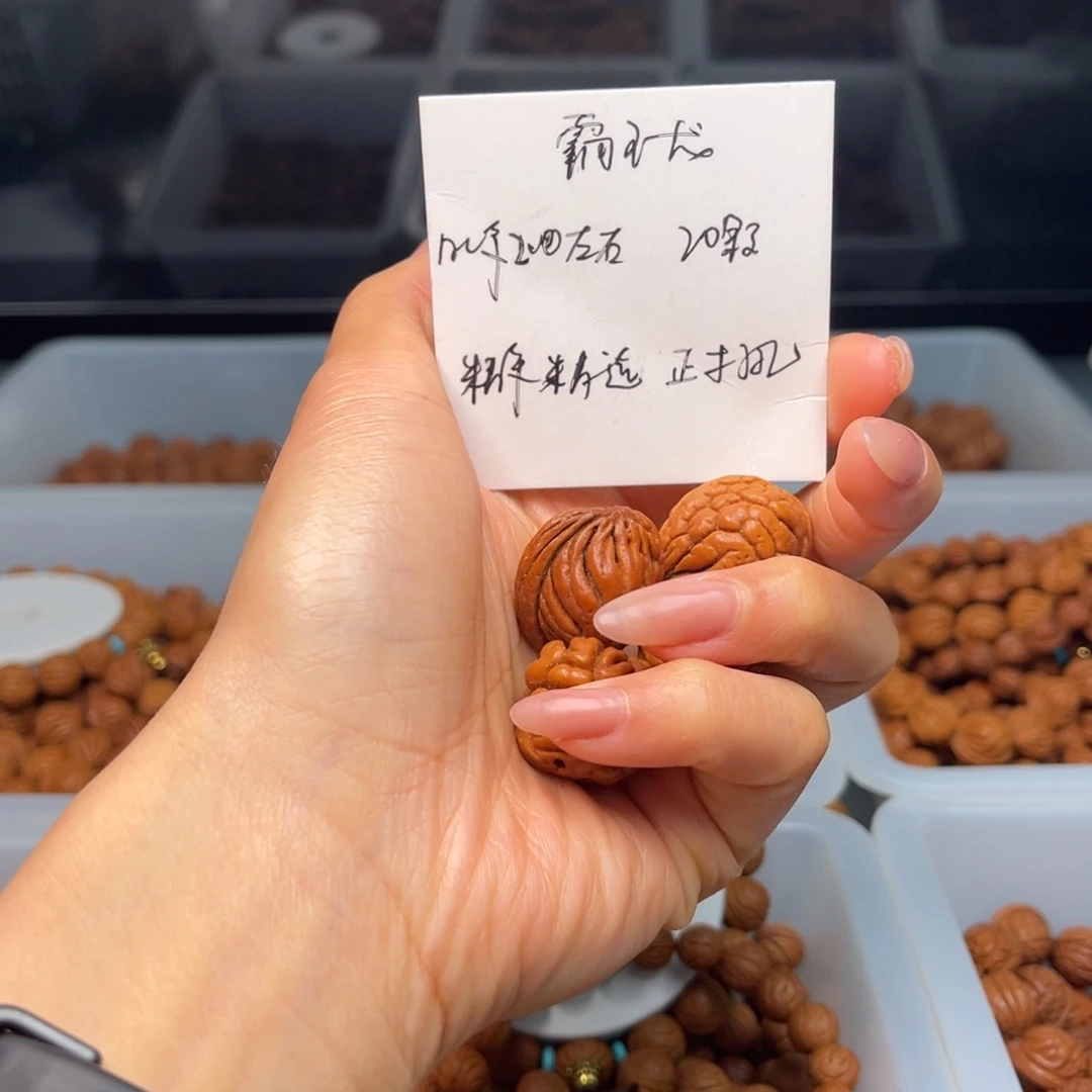 桃核把件秦岭野生龙纹桃核霸王龙