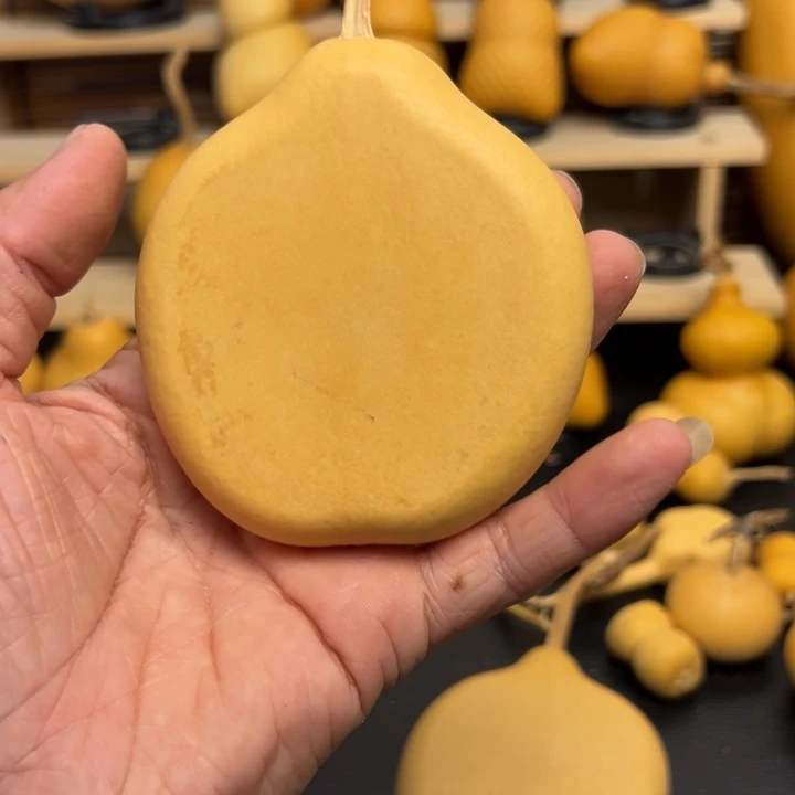 于*鱼2585555566569899