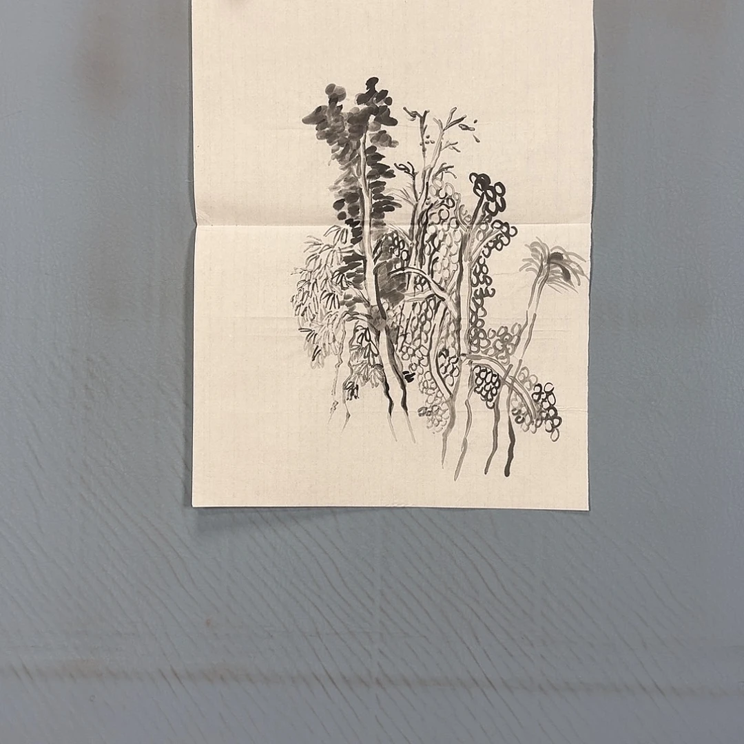 国画361 牡丹一如你初