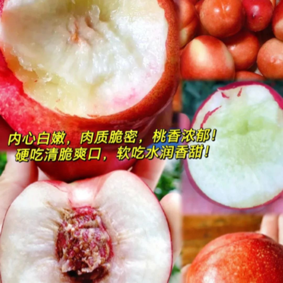 太谷脆甜油桃，桃味十足。新鲜可口。一份约1kg山西省