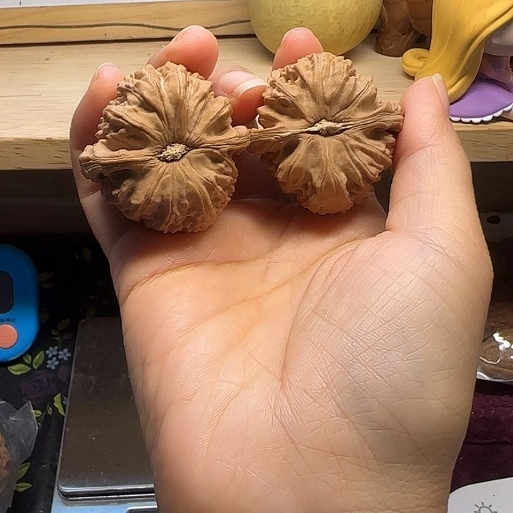 手串/手链核桃白狮子40+