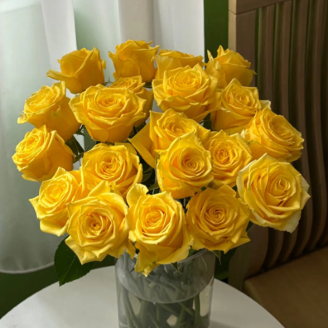 10枝【黄色玫瑰】单头玫瑰 室内水养鲜切花 云南昆明基地直发