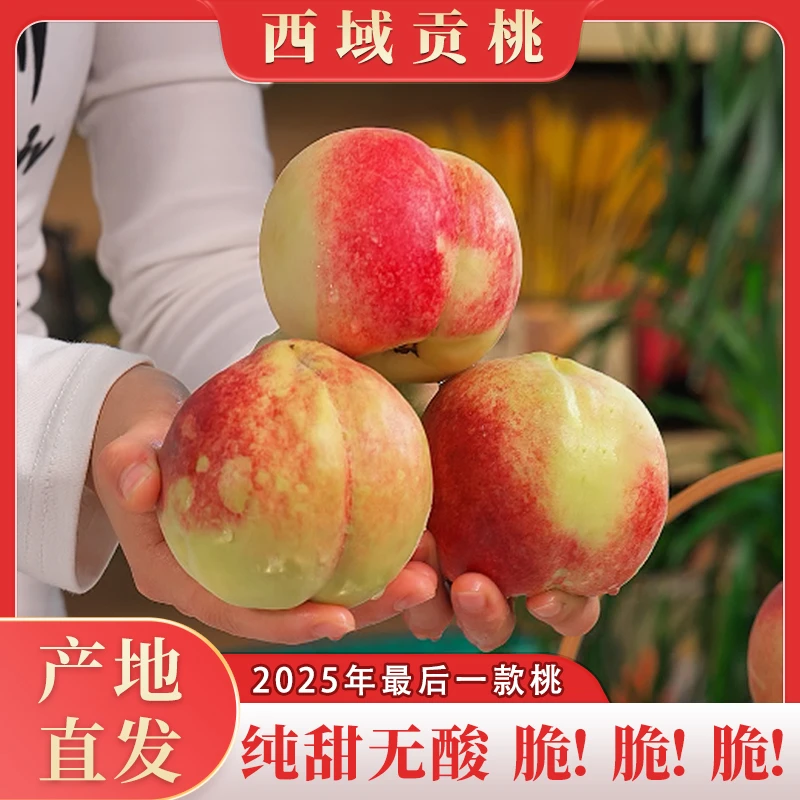 【京东】西域贡桃新鲜新疆脆桃蜜桃冬桃脆甜爽口产地直发精选4斤起