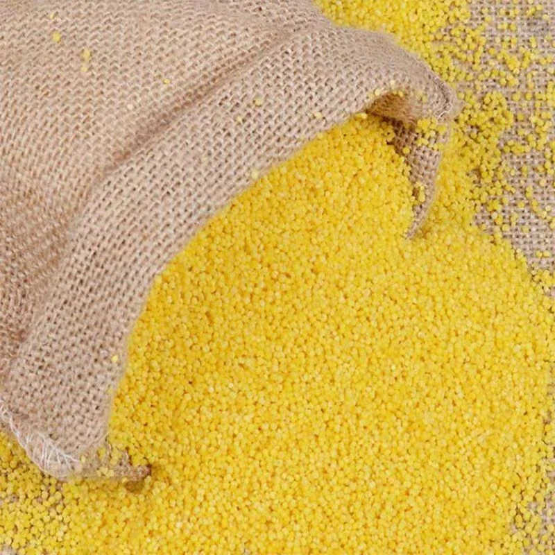 【正宗10斤东北黄小米】东北黄小米高品质杂粮好吃小米杂粮精品米