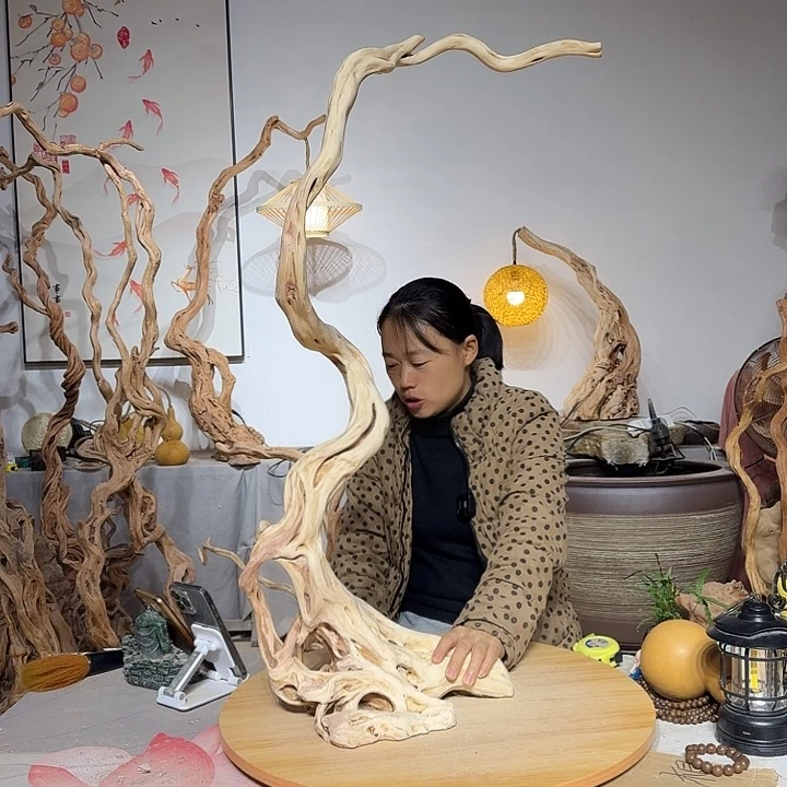 素***心杜鹃根艺术中心根