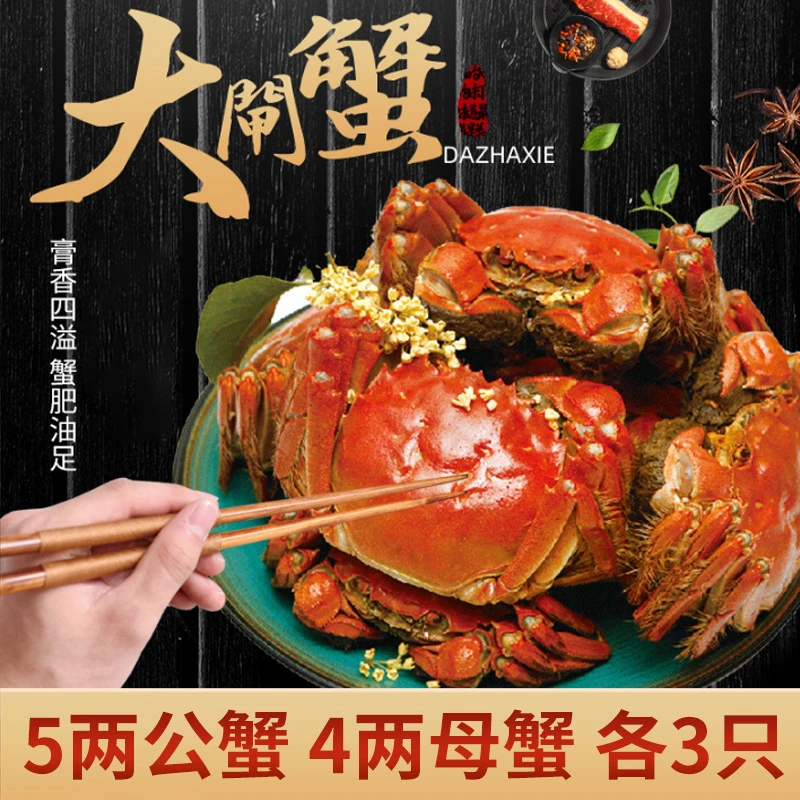 【精品活蟹 】莘森大闸蟹公蟹5两*3只+母蟹4两*3只鲜活发货死蟹包赔