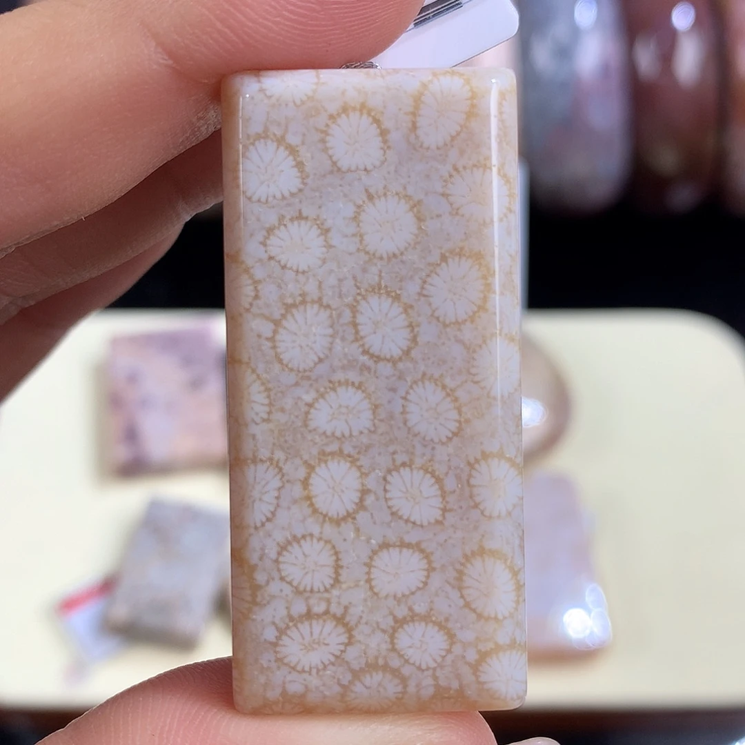 吊坠(赠链)未镶嵌硅化珊瑚（珊瑚玉）14号满花