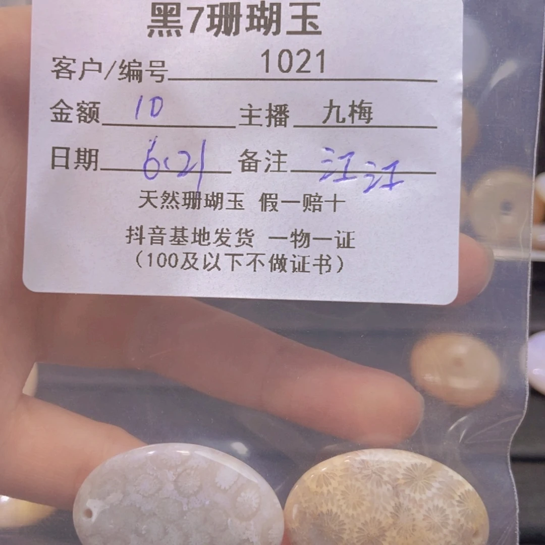 硅化珊瑚（珊瑚玉）未镶嵌颈饰江*