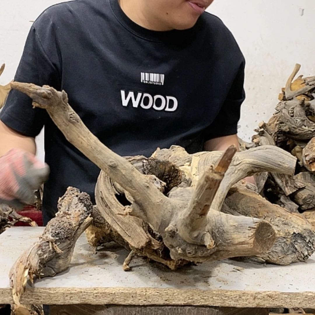 【闪购商品】柏木秋**雕我们都是好孩子