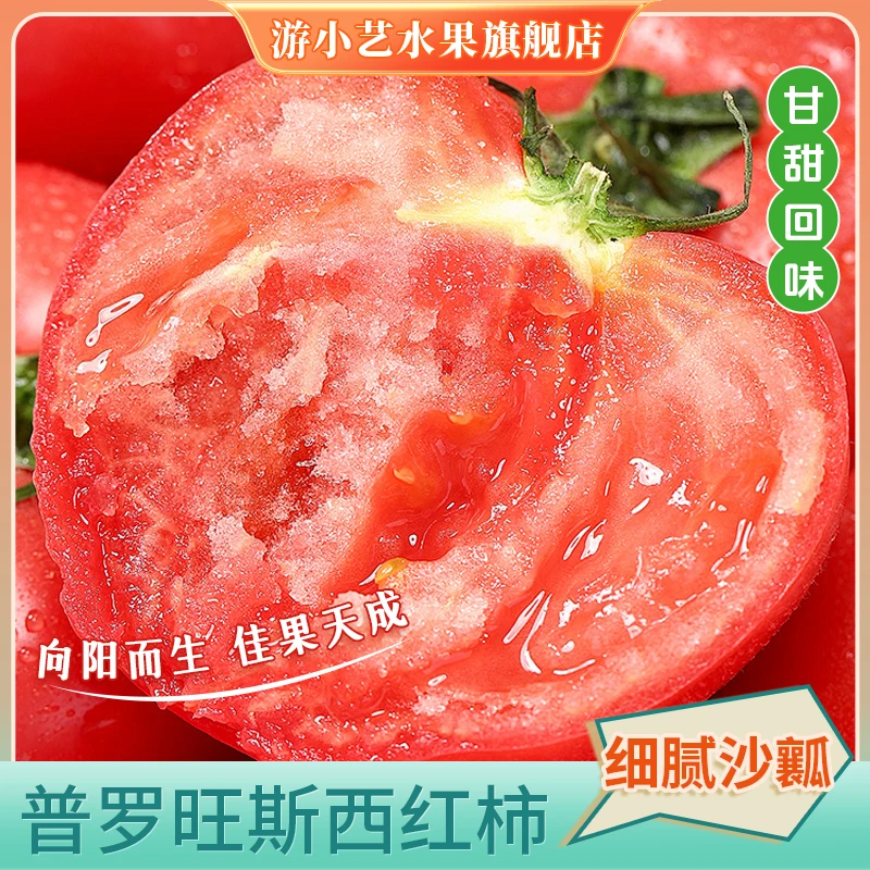 陕西普罗旺斯番茄西红柿 新鲜 当季蔬菜 沙瓤番茄自然成熟