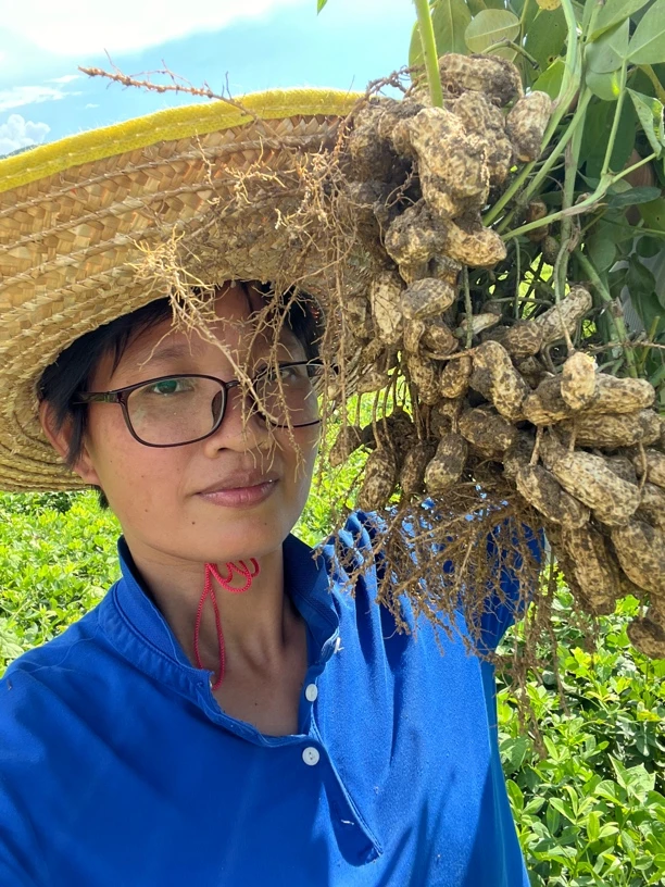 新鲜湿花生带壳现挖当季可水煮农家自种养胃花生