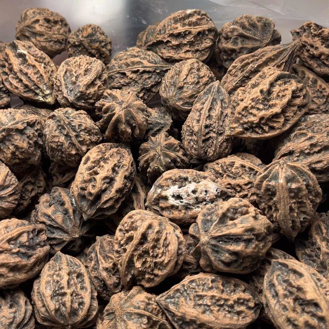 手串文玩核桃核桃71