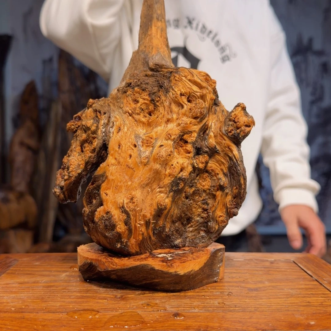 暇***鳞木三丰琥珀木 天然摆件60