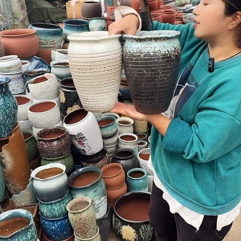 口17高24两个盆。