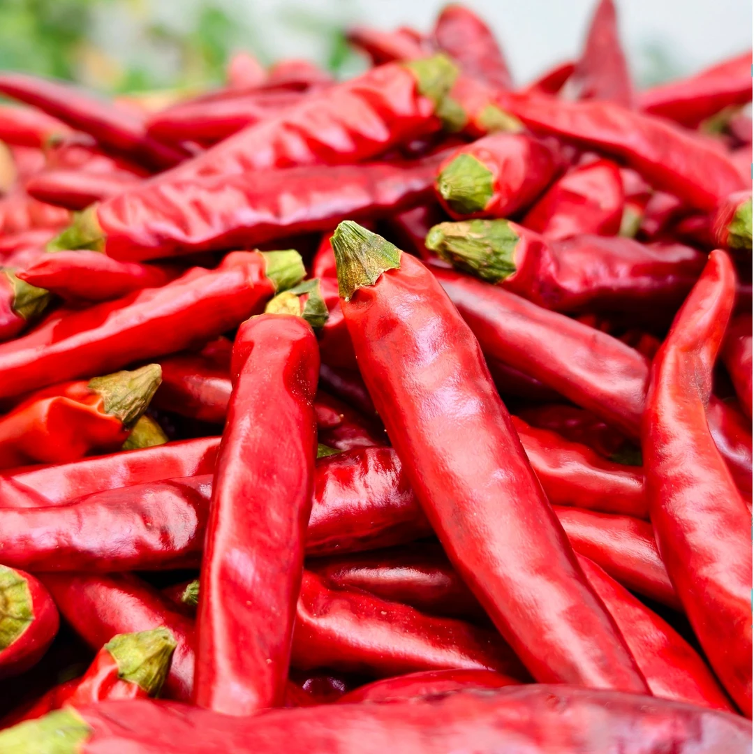 贵州特产干辣椒香辣小米辣特辣当季辣椒商用遵义虾子镇发货包邮