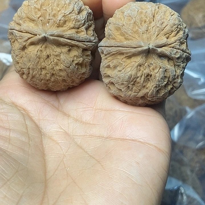 把件文玩核桃云南铁核桃基地12