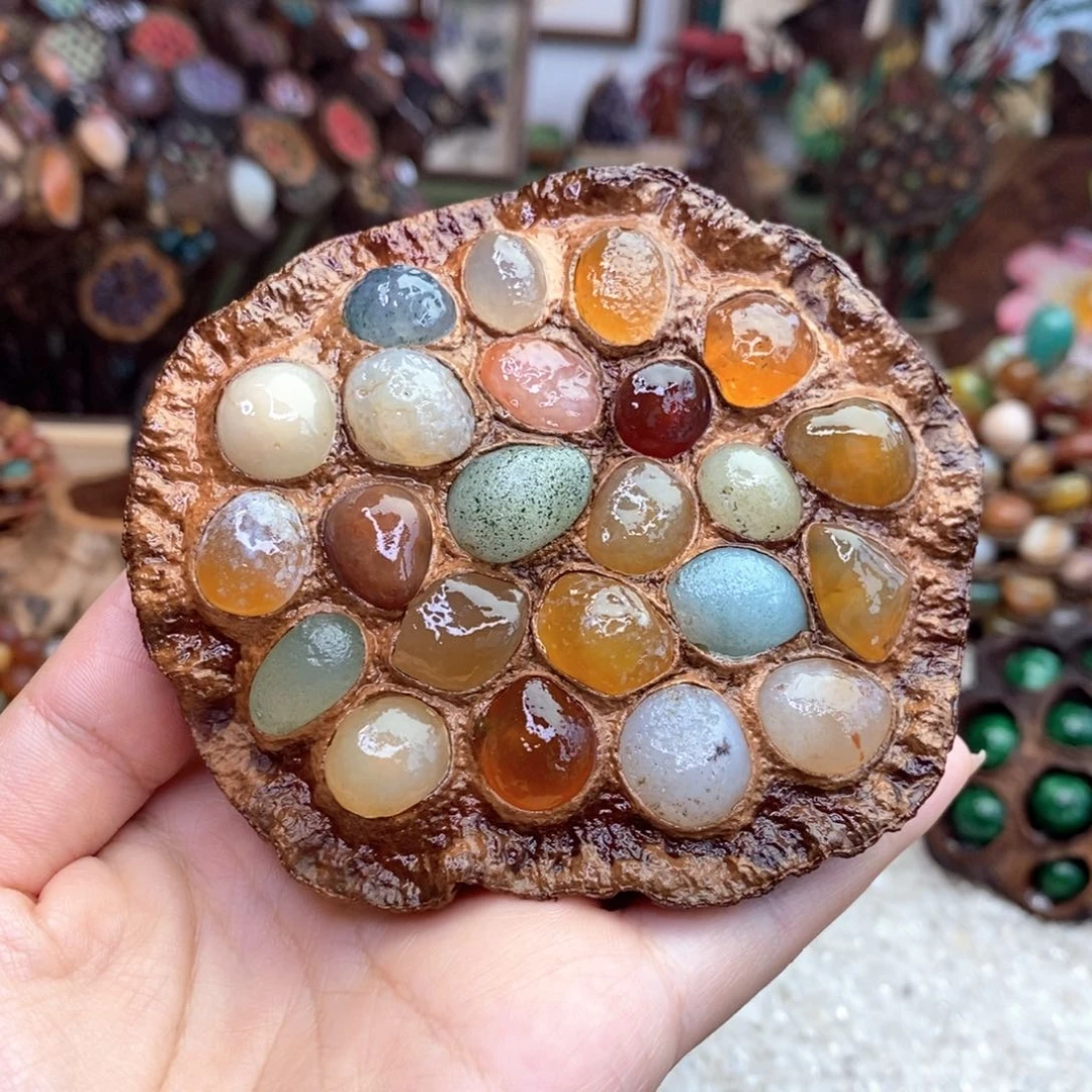 木石院子莲蓬1111